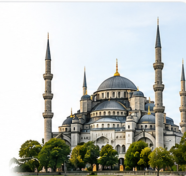 Turkey ENT care